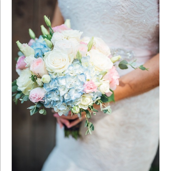 Meet your Posher, Annie - Picture 1 of 1